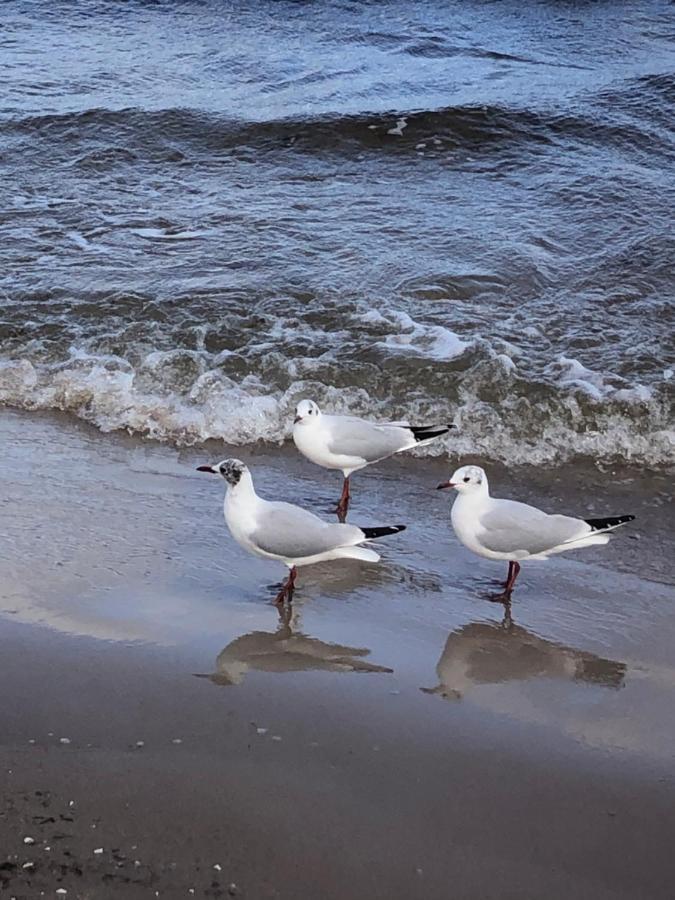 Ankerplatz Binz Im Haus Strelasund Bagian luar foto